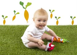 Игрушки-носочки Зайка и Морковка - фото 3919