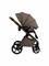 Sweet Baby Elegante Therma (Colore) 2 в 1 - фото 8327