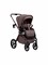 Sweet Baby Elegante Therma (Colore) 2 в 1 - фото 8333