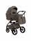 Sweet Baby SBL Elegante Therma (Colore) 2 в 1 - фото 8715